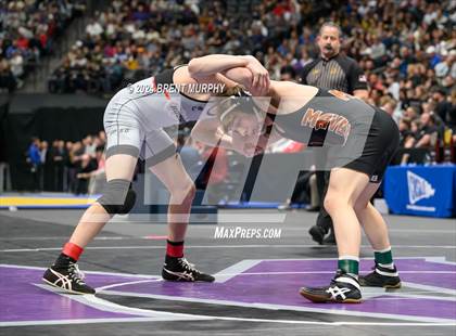 Thumbnail 1 in CHSAA State Championship - 4A Finals photogallery.