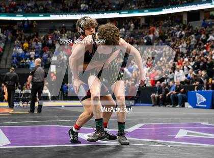 Thumbnail 2 in CHSAA State Championship - 4A Finals photogallery.