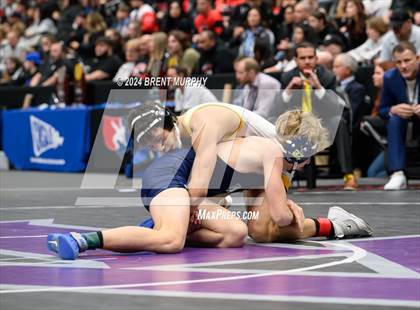 Thumbnail 1 in CHSAA State Championship - 4A Finals photogallery.