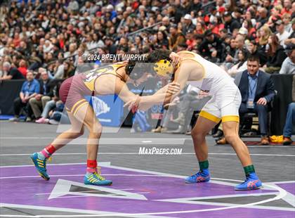 Thumbnail 1 in CHSAA State Championship - 4A Finals photogallery.