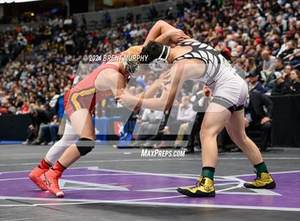 Thumbnail 3 in CHSAA State Championship - 4A Finals photogallery.