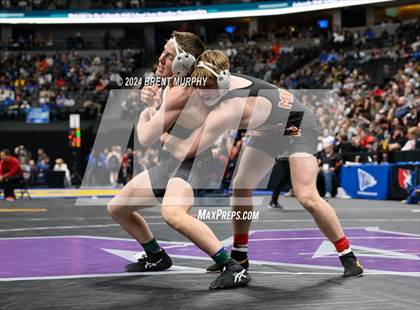 Thumbnail 2 in CHSAA State Championship - 4A Finals photogallery.