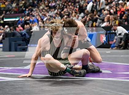 Thumbnail 1 in CHSAA State Championship - 4A Finals photogallery.