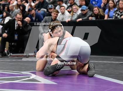 Thumbnail 3 in CHSAA State Championship - 4A Finals photogallery.
