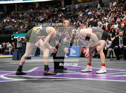 Thumbnail 1 in CHSAA State Championship - 4A Finals photogallery.