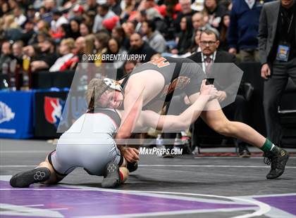 Thumbnail 2 in CHSAA State Championship - 4A Finals photogallery.