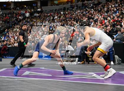 Thumbnail 1 in CHSAA State Championship - 4A Finals photogallery.