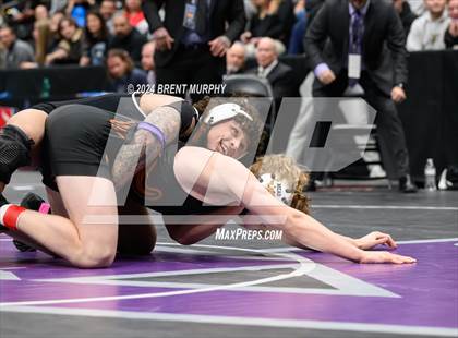 Thumbnail 1 in CHSAA State Championship - 4A Finals photogallery.
