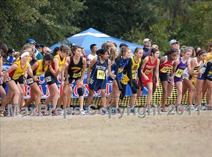 Thumbnail 2 in CIF State Cross Country Championships (D4 Girls) photogallery.