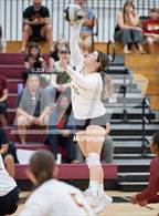 Photo from the gallery "Las Lomas @ Northgate"