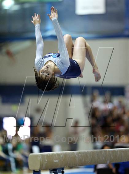 Thumbnail 1 in CHSAA State Gymnastics Championships (4A and 5A Individuals) photogallery.