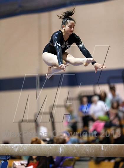 Thumbnail 1 in CHSAA State Gymnastics Championships (4A and 5A Individuals) photogallery.