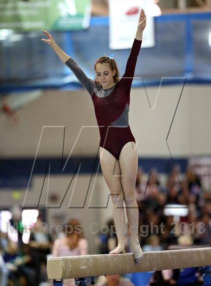 Thumbnail 1 in CHSAA State Gymnastics Championships (4A and 5A Individuals) photogallery.