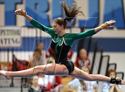 Thumbnail 1 in CHSAA State Gymnastics Championships (4A and 5A Individuals) photogallery.