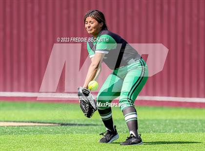 Thumbnail 2 in Paradise @ Whitesboro photogallery.