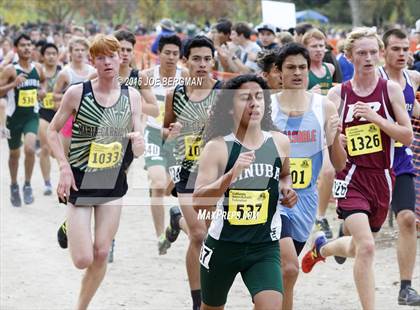 Thumbnail 1 in CIF State Cross Country Championships (D3 Boys Race) photogallery.