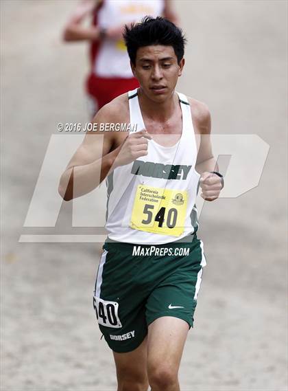 Thumbnail 2 in CIF State Cross Country Championships (D3 Boys Race) photogallery.