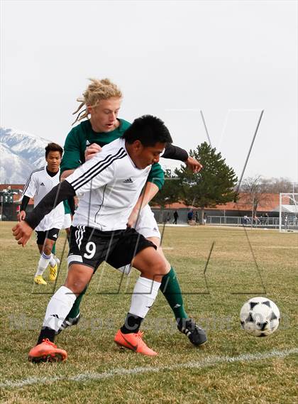 Thumbnail 3 in Hillcrest @ West Jordan photogallery.