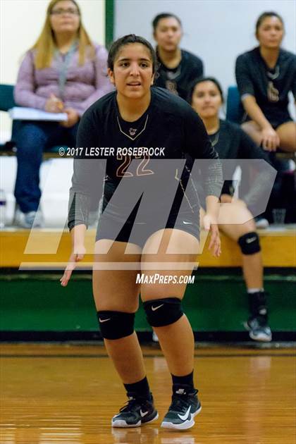 Thumbnail 1 in Randolph vs Cotulla (Pearsall VB Tournament) photogallery.