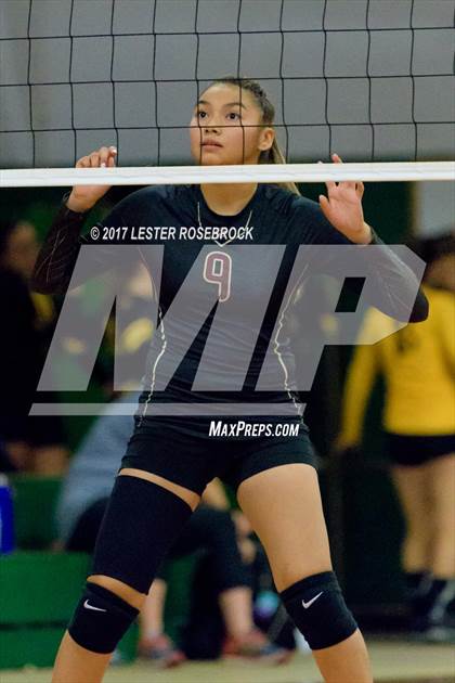 Thumbnail 1 in Randolph vs Cotulla (Pearsall VB Tournament) photogallery.