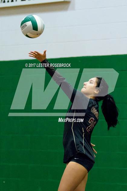 Thumbnail 1 in Randolph vs Cotulla (Pearsall VB Tournament) photogallery.