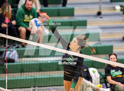Thumbnail 1 in Los Alamitos @ Mira Costa photogallery.