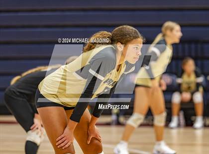 Thumbnail 1 in Vidor vs Hamshire-Fannett (Hardin-Jefferson Varsity Tournament) photogallery.