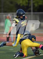 Photo from the gallery "Rodriguez @ River City"