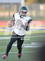 Photo from the gallery "Rodriguez @ River City"