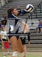 Photo from the gallery "Apex @ Green Level"