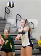 Photo from the gallery "Apex @ Green Level"