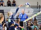 Photo from the gallery "Apex @ Green Level"