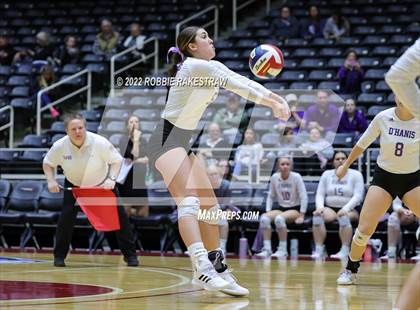 Thumbnail 3 in D'Hanis vs. Blum (UIL 1A Final) photogallery.