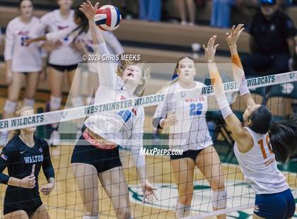 Thumbnail 1 in North Cobb vs. Walton (GHSA 6A Semifinal) photogallery.