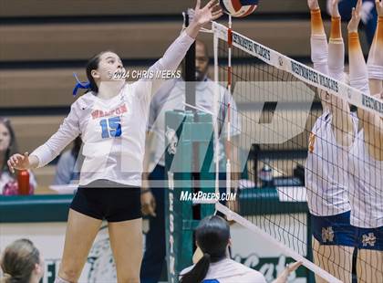 Thumbnail 3 in North Cobb vs. Walton (GHSA 6A Semifinal) photogallery.