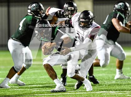Thumbnail 3 in Mansfield Timberview @ Lake Ridge photogallery.