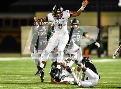 Thumbnail 3 in Mansfield Timberview @ Lake Ridge photogallery.