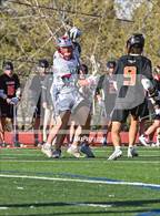 Photo from the gallery "Lewis-Palmer @ Heritage"