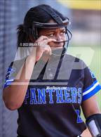 Photo from the gallery "Avon Park @ Mulberry"