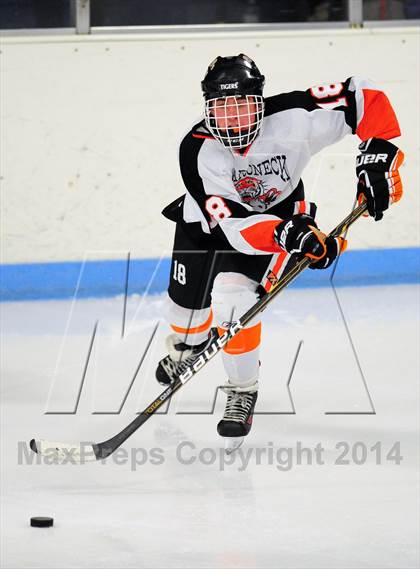 Thumbnail 2 in White Plains @ Mamaroneck photogallery.