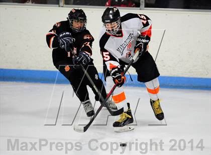 Thumbnail 2 in White Plains @ Mamaroneck photogallery.