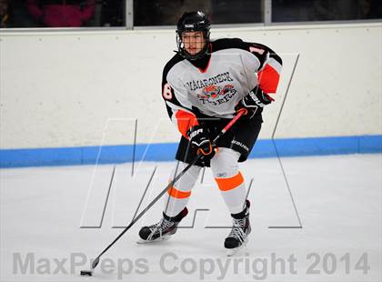 Thumbnail 2 in White Plains @ Mamaroneck photogallery.