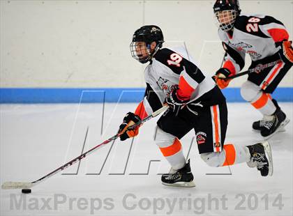 Thumbnail 1 in White Plains @ Mamaroneck photogallery.