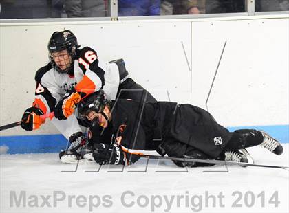 Thumbnail 2 in White Plains @ Mamaroneck photogallery.