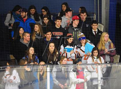 Thumbnail 3 in White Plains @ Mamaroneck photogallery.