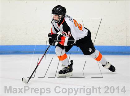 Thumbnail 2 in White Plains @ Mamaroneck photogallery.