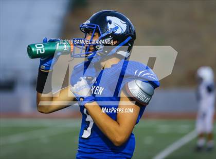 Thumbnail 1 in Milken vs. Fulton photogallery.