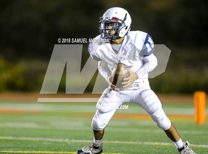 Thumbnail 1 in Milken vs. Fulton photogallery.