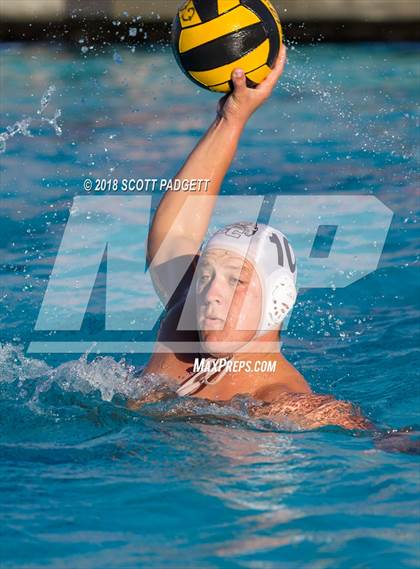 Thumbnail 1 in Great Oak vs El Camino photogallery.