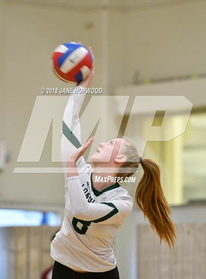 Thumbnail 2 in Leigh @ Leland photogallery.